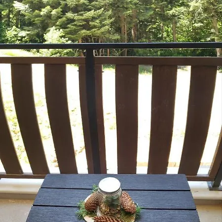 Appartement Klepalski - Mountain *