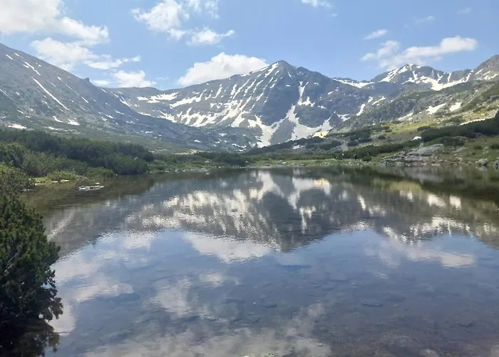 Klepalski - Mountain * Borowec